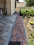 Осінній лист темний клинерна брусчатка ABC, фото 6