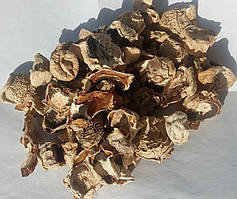 Гриб Веселка (сухий гриб), 100г.