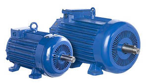 Электродвигатель ДMTH 112-6 (ДMTH112-6) 4,5кВт/900об/мин крановый с фазным ротором