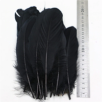Пір'я гусака натуральні Декоративне перо Чорне 13-20см