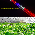 Фітолампа для розсади 120см 18Вт Т8 96D (червоно-синій-білий спектр)гарний урожай, фото 3