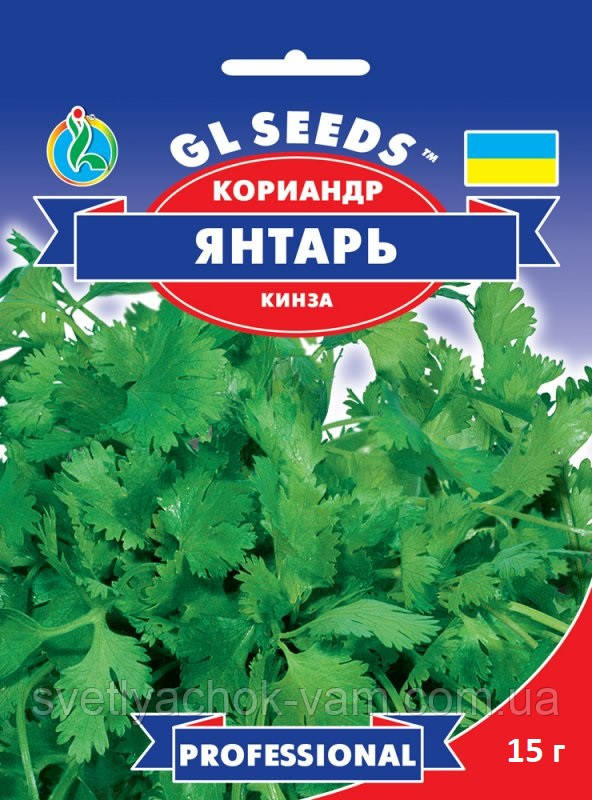 Коріандр Бурштин кінза холодостійкий однорічник з гірчичним смаком багатий вітамінами, упаковка 15 г