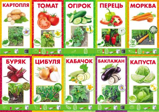 Комплект карток 10 шт. "Овочі" Км.-086