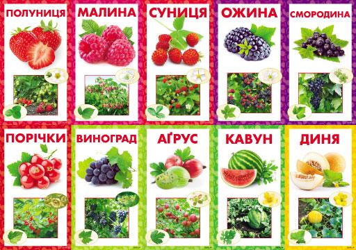 Комплект карток 10 шт. "Ягоди" Км.-088