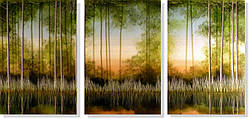 Репродукція модульної картини триптих «Рефлексія» 