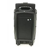 Акустична система Kimiso QS-801 з мікрофоном, фото 4