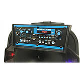 Акустична система Kimiso QS-801 з мікрофоном, фото 7