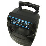 Акустична система Kimiso QS-801 з мікрофоном, фото 2