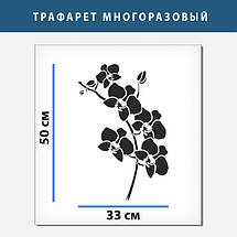 Трафарет для створення об'ємних малюнків на стінах (600х430), фото 4