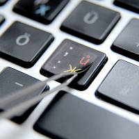 Наклейки на клавиатуры не стираемые защитные свойства ламинирования