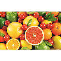 Стіл обідній скляний Прямокутний з прохідною полицею фотодрук Fruit 910х610 *Еко (БЦ-стіл ТМ), фото 3