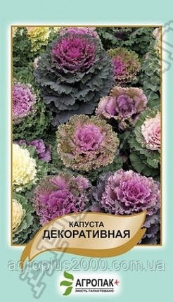 Насіння Капуста Декоративна Суміш 50 насінин Legutko, фото 1