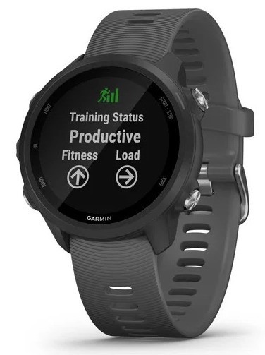 Смарт часы Garmin Forerunner 245 Grey - фото 4 - id-p1010721388