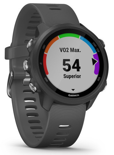 Смарт-годинник Garmin Forerunner 245 Grey