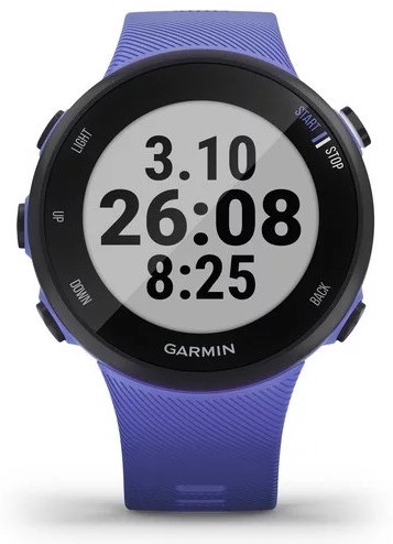 Смарт часы Garmin Forerunner 45S Iris - фото 5 - id-p1010824432