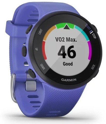 Смарт-годинник Garmin Forerunner 45S Iris