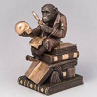 Скринька Veronese Мавпа на книгах 17 см 76129A5