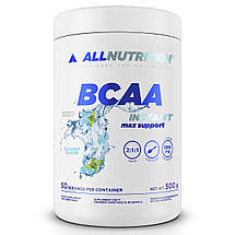 Бцаа инстант AllNutrition BCAA Instant max support 500 г (різні смаки), фото 4