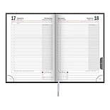 Щоденник 2019 Стандарт Miradur зірб/т сірий, фото 2