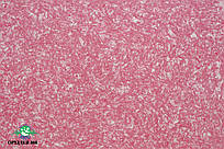 Рідкі шпалери тип Орхідея 808