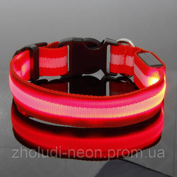 Яскравий Світлий нашийник для собак і котів. XS—XL(18-58м.) Колір ГАРЯЧИЙ., фото 1