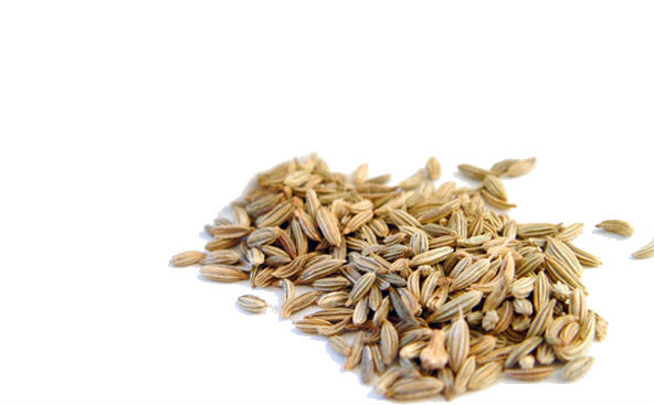 Фенхель звичайний (Foeniculum vulgare, carpus Common fennel) плоди 50 грамі