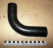 Патрубок МТЗ радіатора верхній 70-1303001