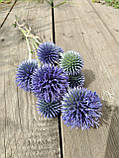 Мордовник синій, натуральний сухоцвіт 10 суцвіть різних розмірів, фото 4