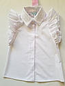 Блуза шкільна з оборками на рукавах Albero 5089-B Розміри 122 - 158, фото 8