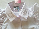 Блуза шкільна з оборками на рукавах Albero 5089-B Розміри 122 - 158, фото 9