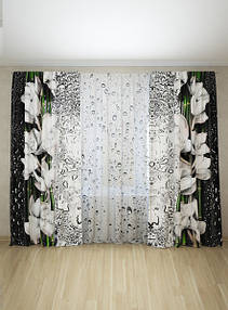 Фотоштори і фототюль