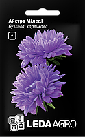 ТМ LEDAAGRO Айстра карликова Міледі бузкова 0,2 г