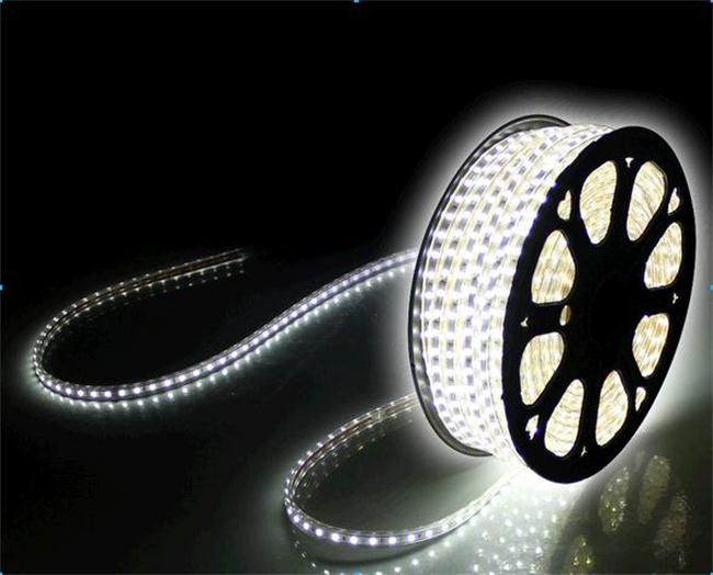 Dilux — Світлодіодна стрічка SMD 3014 120 шт./м IP67 220В біла