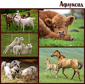 Антидіарейна кормова добавка — Афлуксид