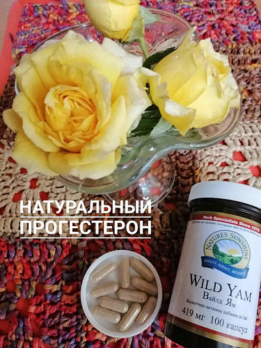 Роль прогестерону в здоров'ї жінки. Дикий Ямс БАД НСП - натуральний прогестерон.