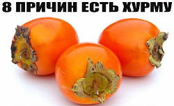 8 ПРИЧИН Є ХУРМУ !