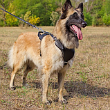 Шлейка из натуральной кожи для собак "Lockdog" размеры M L XL, фото 4