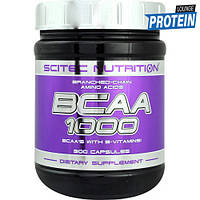 Амінокислоти bcaa Scitec Nutrition BCAA 1000 (300 caps)