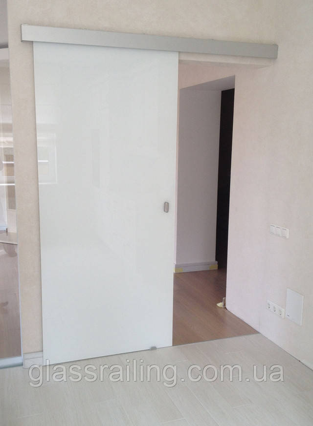  Steklyannaya razdvijnaya dver