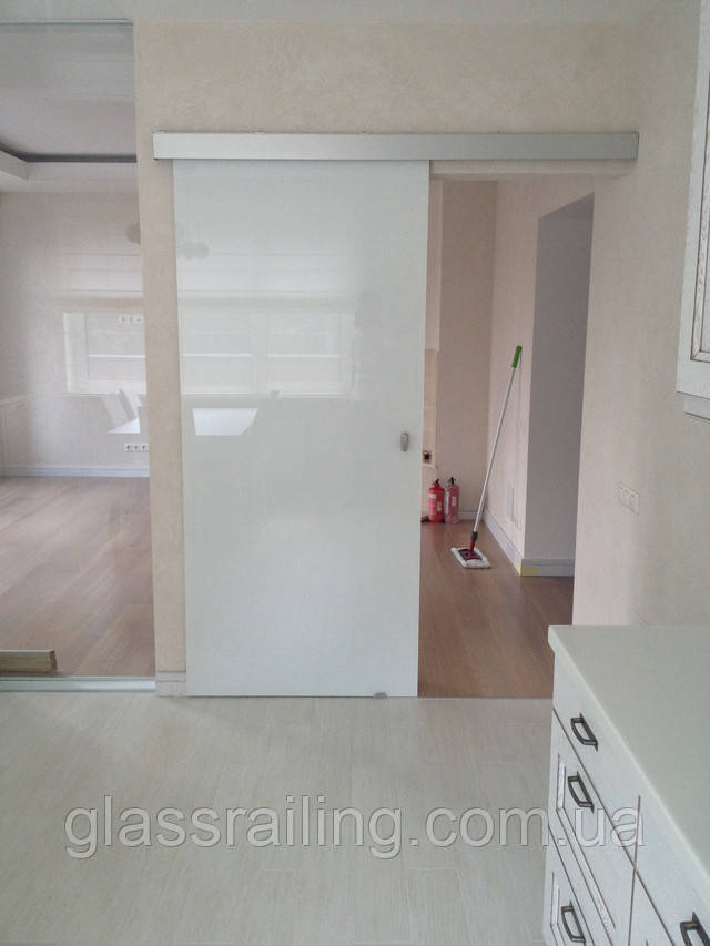  Steklyannaya razdvijnaya dver