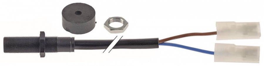 Геркон (мікровимикач) двері VE1020A для печі Unox, фото 1