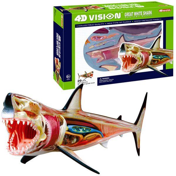 4Д модель біла акула 4D Vision Great White Shark Anatomy Model, фото 1