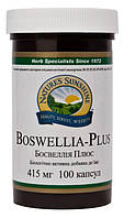 Босвелия Плюс НСП Boswellia Plus NSP - 100 кап - NSP, США