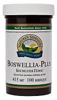 Босвелія Плюс НСП Boswellia Plus NSP - 100 кап - NSP, США