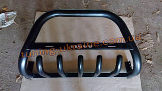 Кенгурятник молотковий на Chery Tiggo 2010-2012