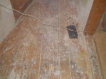 Наши работы 24