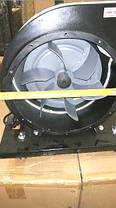 Стружкосос WARRIOR W1210, фото 2