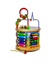 Дерев'яна розвиваюча іграшка-сортер 10 в 1