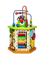 Дерев'яна розвивальна іграшка-сортер 9 в 1