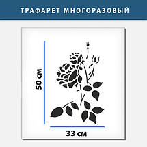 Трафарет для фарбування і створення об'ємних малюнків на стіні (600х430), фото 4